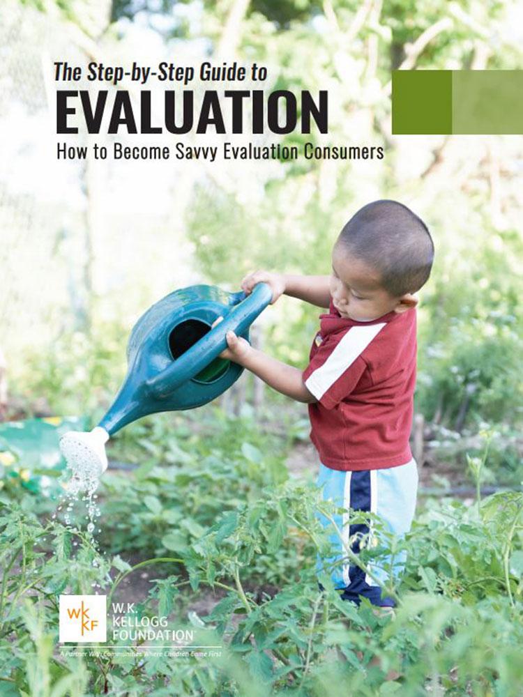 The Step by Step Guide to Evaluation Cover